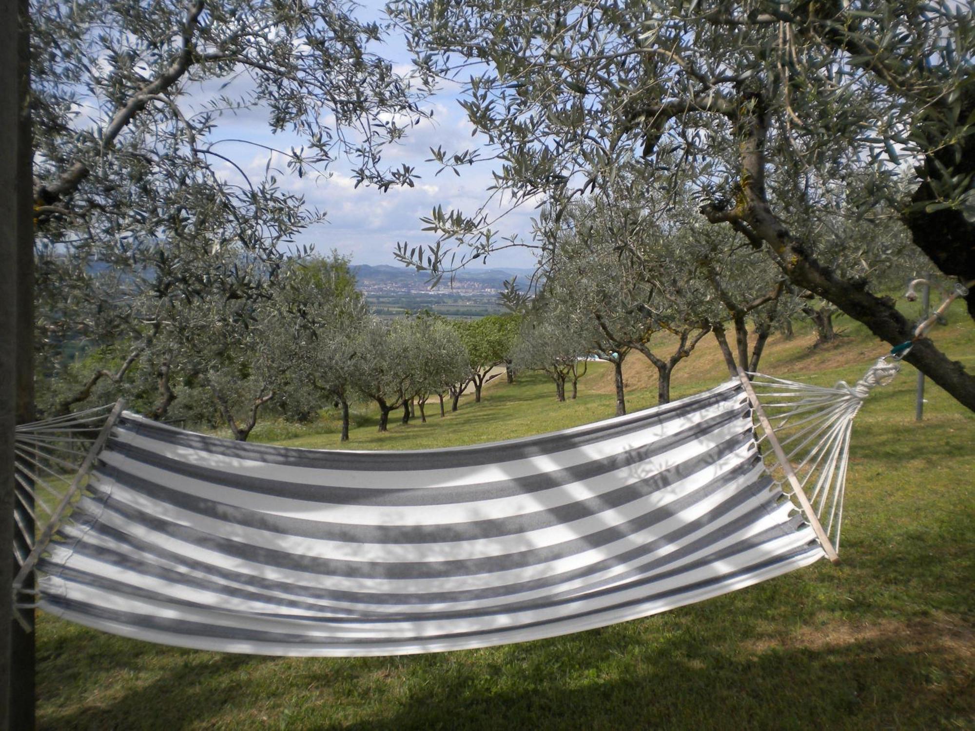 Il Poggio Delle Ginestre Guest House Torgiano Eksteriør bilde