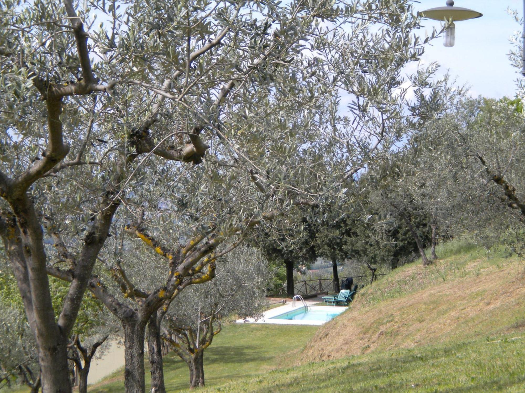 Il Poggio Delle Ginestre Guest House Torgiano Eksteriør bilde