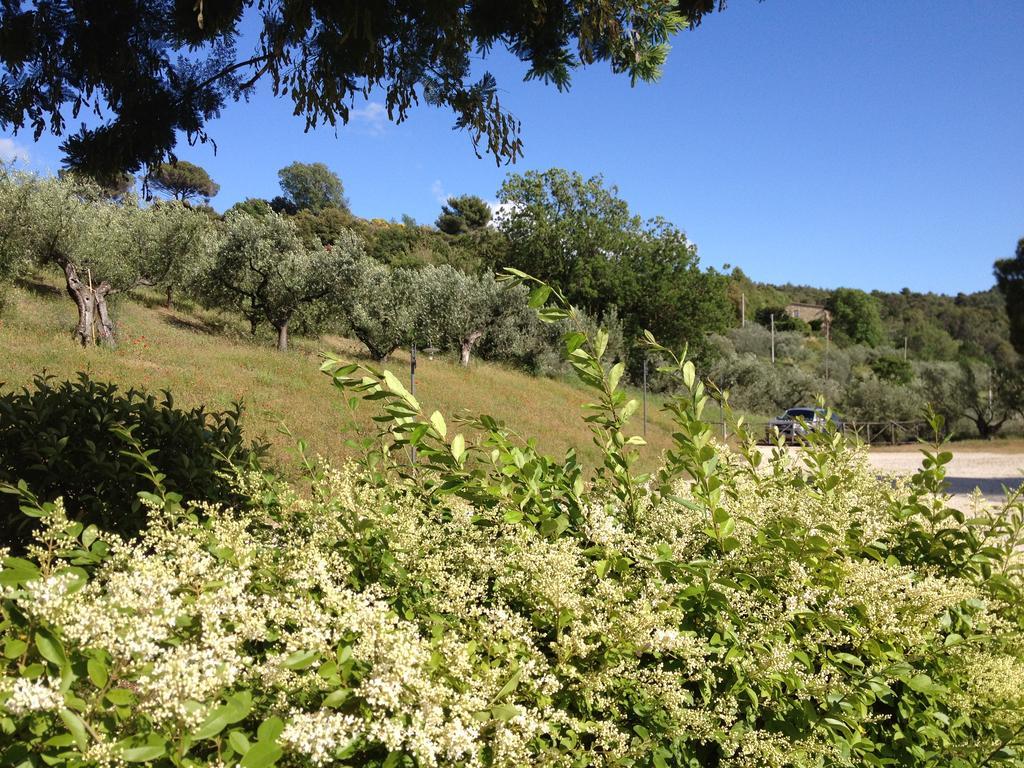 Il Poggio Delle Ginestre Guest House Torgiano Eksteriør bilde
