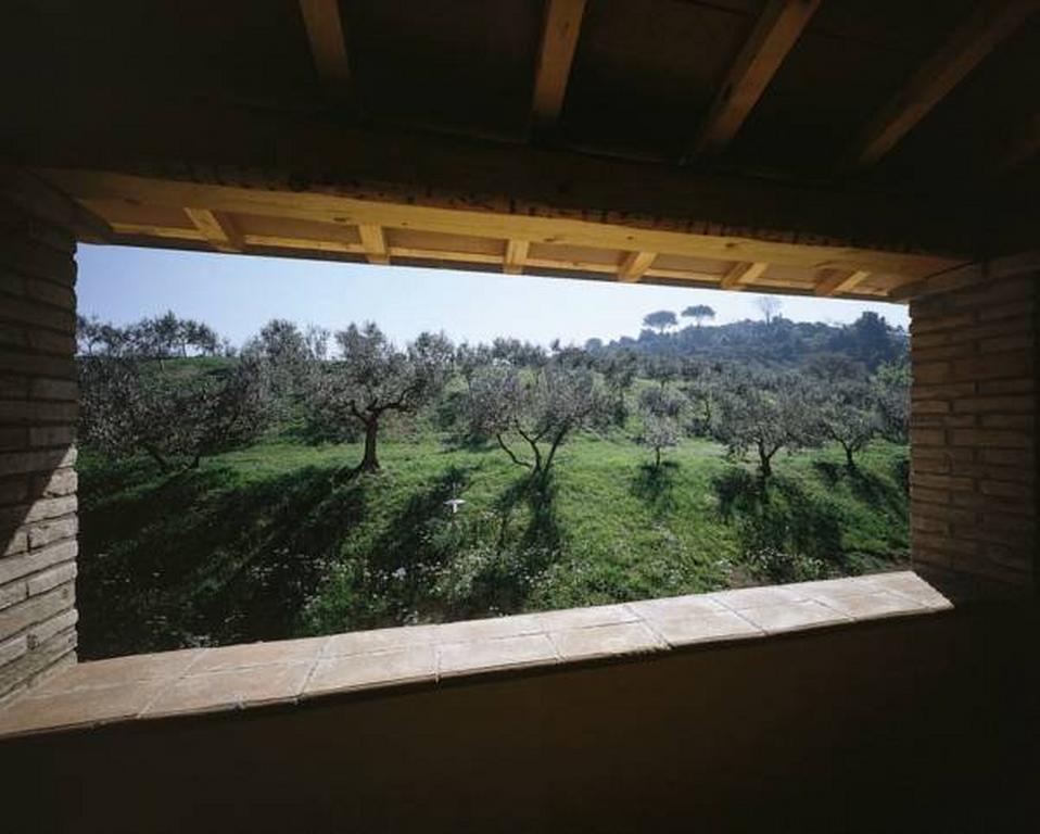 Il Poggio Delle Ginestre Guest House Torgiano Eksteriør bilde