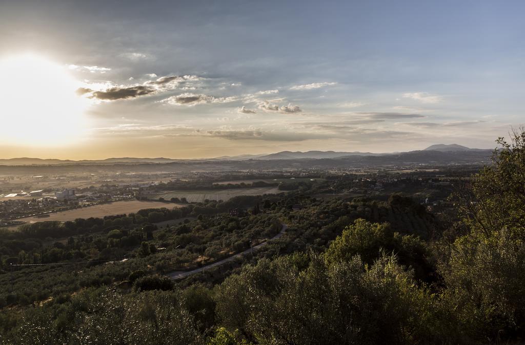 Il Poggio Delle Ginestre Guest House Torgiano Eksteriør bilde